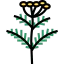 Herb 상 64x64