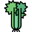 Celery 상 64x64