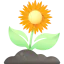 Sunflower 图标 64x64