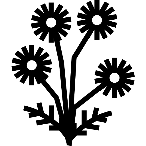 Chamomile icon