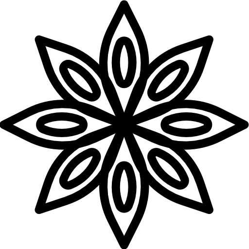 Anise icon