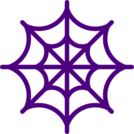 Cobweb icon