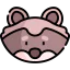 Raccoon 图标 64x64