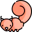 Squirrel 图标 64x64