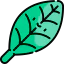 Leaf 图标 64x64