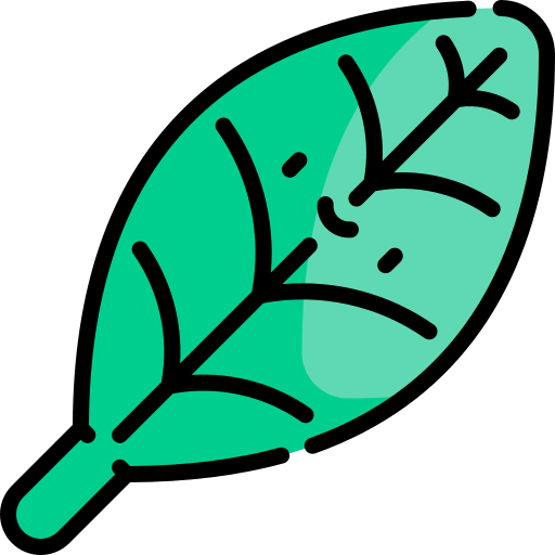 Leaf icon
