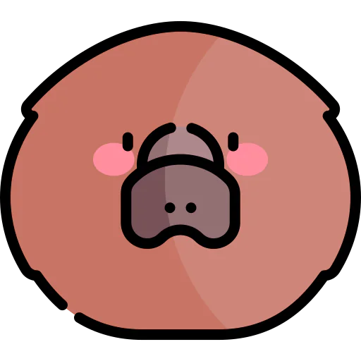 Platypus 图标