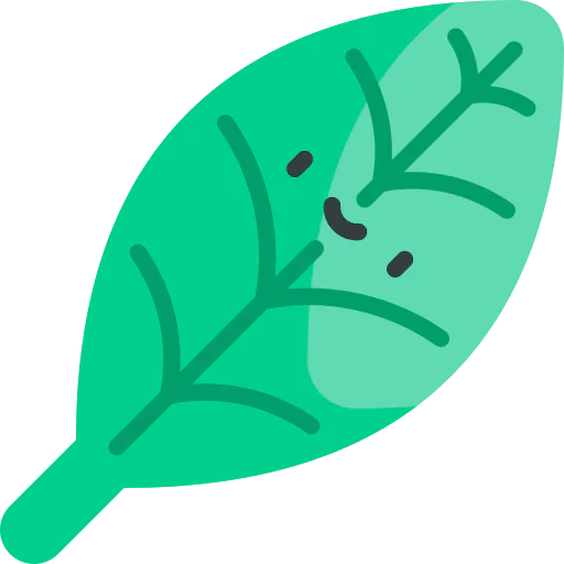 Leaf icon