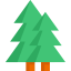 Spruce Ikona 64x64