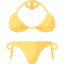 Bikini 图标 64x64