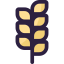 Wheat icon 64x64