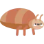 Bedbug icon 64x64