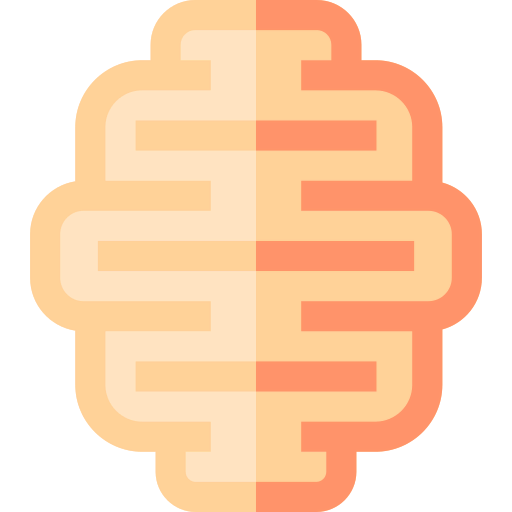 Brain icon