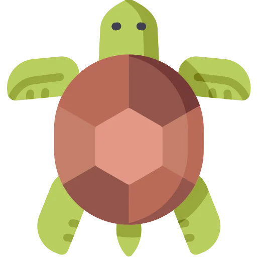 Turtle Ikona