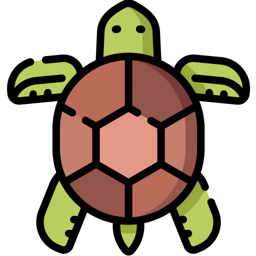 Turtle Symbol