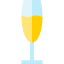 Champagne icon 64x64