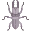 Beetle icon 64x64