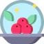 Berries icon 64x64