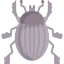 Beetle icon 64x64