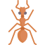 Ant icon 64x64