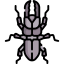 Beetle icon 64x64