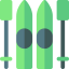 Skii icon 64x64
