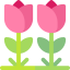 Tulips biểu tượng 64x64