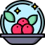Berries icon 64x64