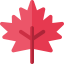 Maple leaf icon 64x64