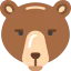 Bear icon 64x64
