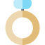 Ring ícono 64x64