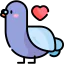 Pigeon Ikona 64x64