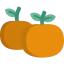 Tangerine 图标 64x64