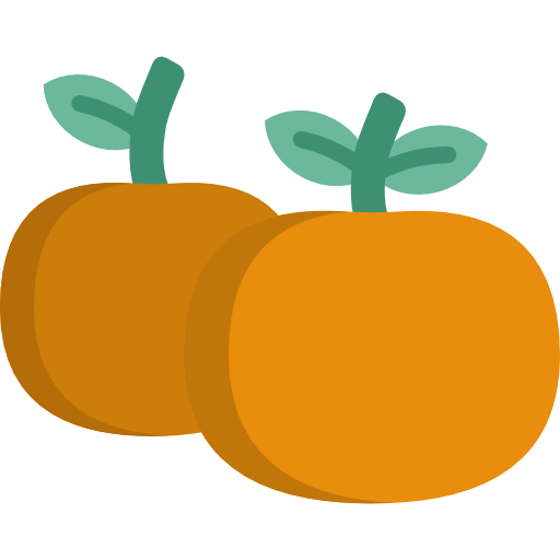 Tangerine icon