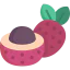 Lychee 图标 64x64