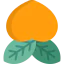 Plum 图标 64x64