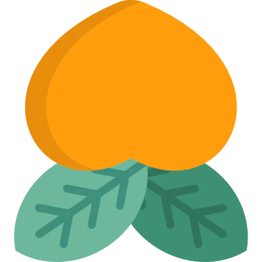 Plum icon