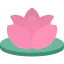 Lotus 图标 64x64