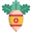 Radish 图标 64x64