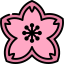 Sakura icon 64x64