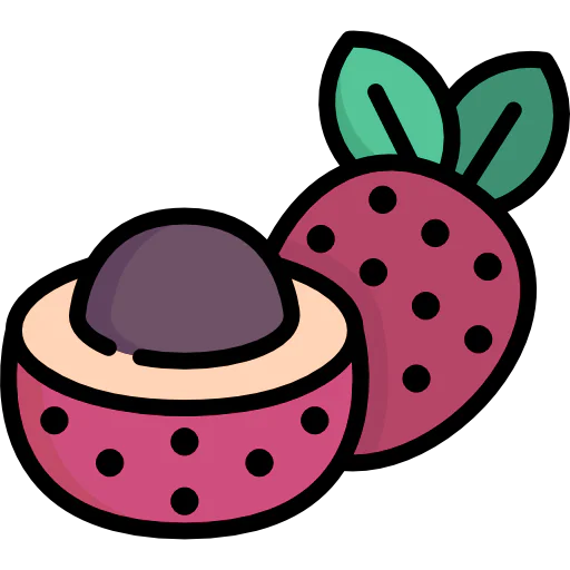 Lychee icon