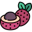 Lychee icon 64x64