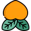 Plum icon 64x64