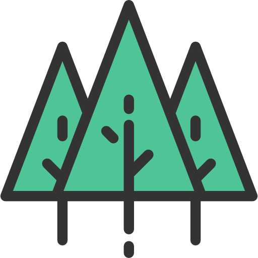 Forest 상