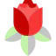 Rose 图标 64x64
