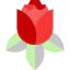 Rose icon 64x64