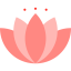 Lotus icon 64x64