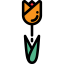 Tulip アイコン 64x64