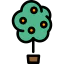 Lemon tree アイコン 64x64
