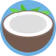 Coconut icon 64x64